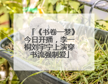 《书卷一梦》今日开播，李一桐刘宇宁上演穿书流强制爱