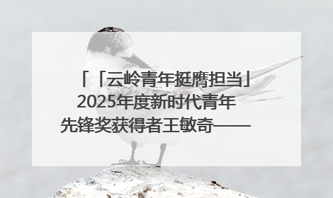 「云岭青年挺膺担当」2025年度新时代青年先锋奖获得者王敏奇——澜沧江上好渔人