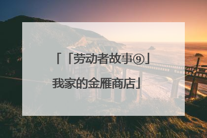 「劳动者故事⑨」我家的金雁商店