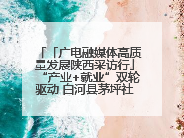 「广电融媒体高质量发展陕西采访行」“产业+就业”双轮驱动 白河县茅坪社区打造易地搬迁后扶新样本
