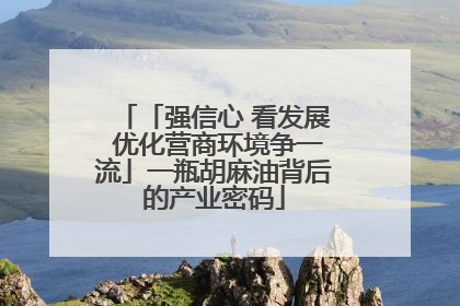 「强信心 看发展 优化营商环境争一流」一瓶胡麻油背后的产业密码