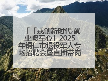 「戎创新时代·就业暖军心」2025年铜仁市退役军人专场招聘会暨直播带岗活动顺利举行