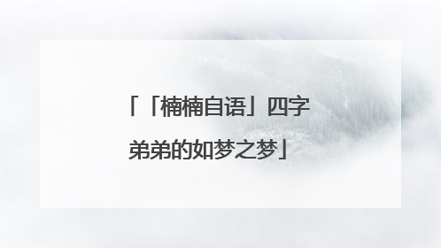 「楠楠自语」四字弟弟的如梦之梦