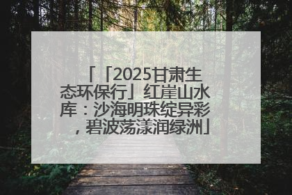 「2025甘肃生态环保行」红崖山水库：沙海明珠绽异彩，碧波荡漾润绿洲