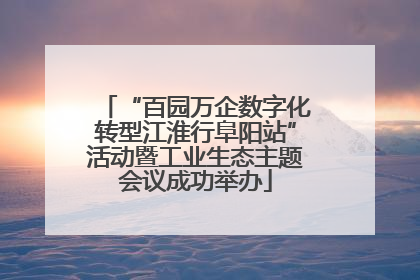 “百园万企数字化转型江淮行阜阳站”活动暨工业生态主题会议成功举办