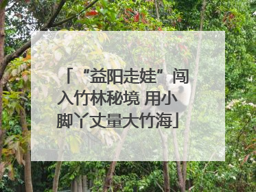 “益阳走娃”闯入竹林秘境 用小脚丫丈量大竹海