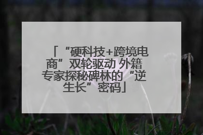 “硬科技+跨境电商”双轮驱动 外籍专家探秘碑林的“逆生长”密码