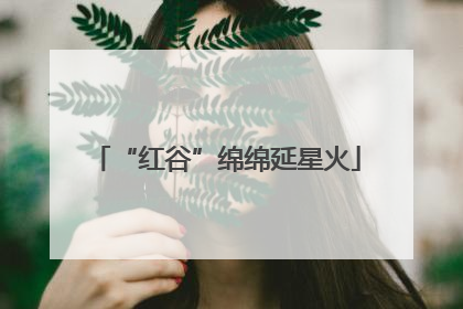 “红谷”绵绵延星火