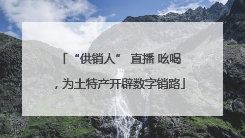 “供销人” 直播 吆喝，为土特产开辟数字销路
