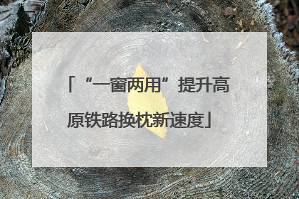“一窗两用”提升高原铁路换枕新速度