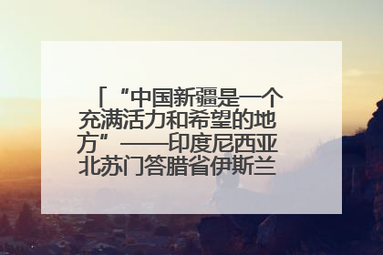 “中国新疆是一个充满活力和希望的地方”——印度尼西亚北苏门答腊省伊斯兰教代表团参访新疆
