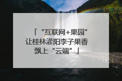 “互联网+果园”让桂林灌阳李子果香飘上“云端”
