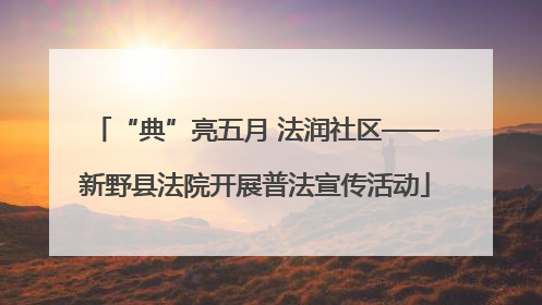 “典”亮五月 法润社区——新野县法院开展普法宣传活动