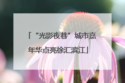 “光影夜巷”城市嘉年华点亮徐汇滨江