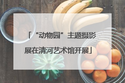 “动物园”主题摄影展在清河艺术馆开展