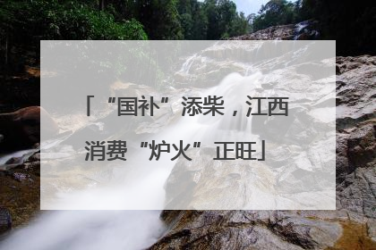 “国补”添柴，江西消费“炉火”正旺