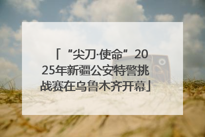 “尖刀·使命”2025年新疆公安特警挑战赛在乌鲁木齐开幕