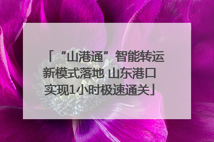 “山港通”智能转运新模式落地 山东港口实现1小时极速通关