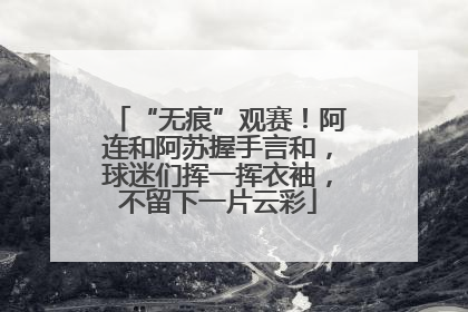 “无痕”观赛！阿连和阿苏握手言和，球迷们挥一挥衣袖，不留下一片云彩