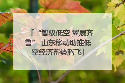 “智驭低空 翼展齐鲁” 山东移动助推低空经济蓄势腾飞