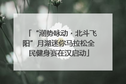 “潮势咏动・北斗飞阳”月湖迷你马拉松全民健身赛在汉启动