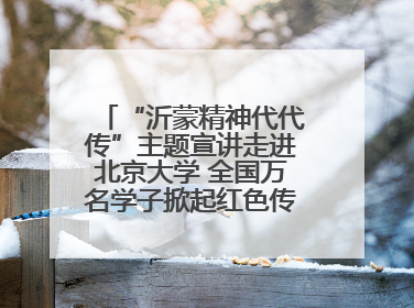 “沂蒙精神代代传”主题宣讲走进北京大学 全国万名学子掀起红色传承热潮