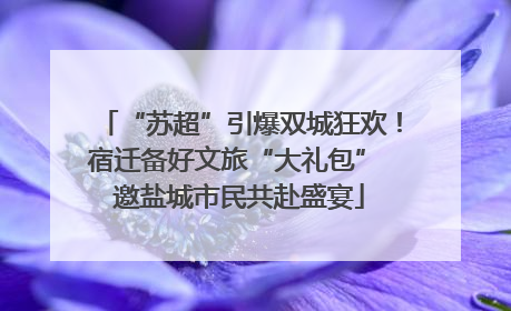 “苏超”引爆双城狂欢！宿迁备好文旅“大礼包” 邀盐城市民共赴盛宴