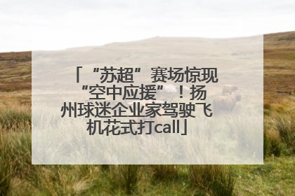 “苏超”赛场惊现 “空中应援”！扬州球迷企业家驾驶飞机花式打call