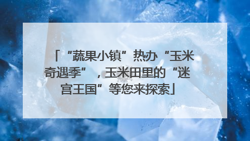 “蔬果小镇”热办“玉米奇遇季”，玉米田里的“迷宫王国”等您来探索