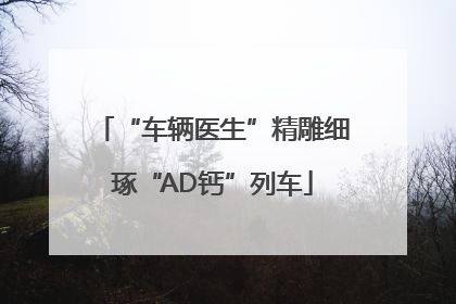 “车辆医生”精雕细琢“AD钙”列车