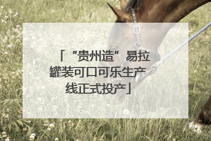 “贵州造”易拉罐装可口可乐生产线正式投产
