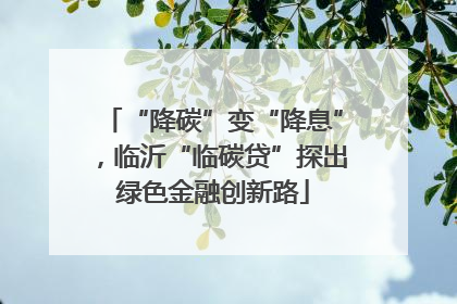 “降碳”变“降息”，临沂“临碳贷”探出绿色金融创新路
