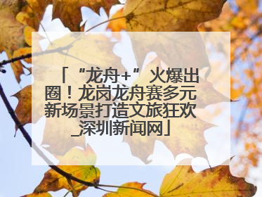 “龙舟+”火爆出圈！龙岗龙舟赛多元新场景打造文旅狂欢_深圳新闻网