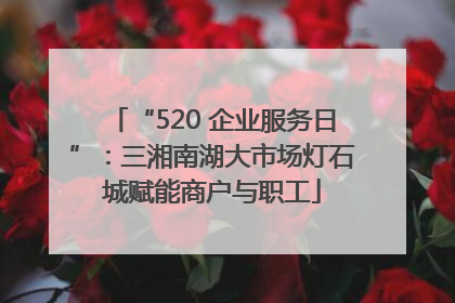 “520 企业服务日”：三湘南湖大市场灯石城赋能商户与职工