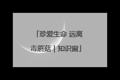 珍爱生命 远离毒蘑菇｜知识窗