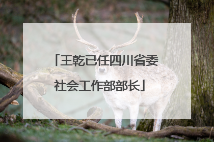 王乾已任四川省委社会工作部部长