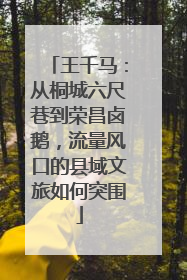 王千马：从桐城六尺巷到荣昌卤鹅，流量风口的县域文旅如何突围