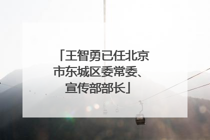 王智勇已任北京市东城区委常委、宣传部部长