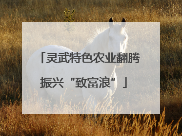 灵武特色农业翻腾振兴“致富浪”