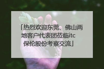 热烈欢迎东莞、佛山两地客户代表团莅临itc保伦股份考察交流