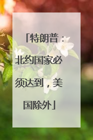 特朗普：北约国家必须达到，美国除外
