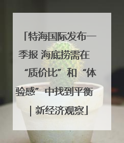 特海国际发布一季报 海底捞需在“质价比”和“体验感”中找到平衡｜新经济观察