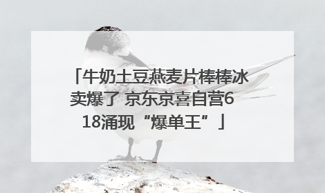 牛奶土豆燕麦片棒棒冰卖爆了 京东京喜自营618涌现“爆单王”