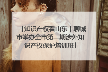 知识产权看山东｜聊城市举办全市第二期涉外知识产权保护培训班
