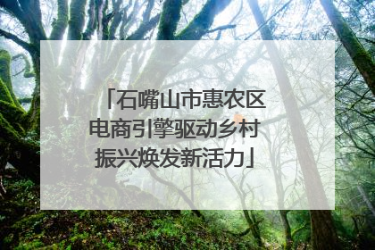 石嘴山市惠农区电商引擎驱动乡村振兴焕发新活力