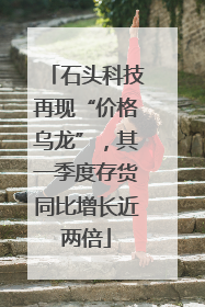 石头科技再现“价格乌龙”，其一季度存货同比增长近两倍