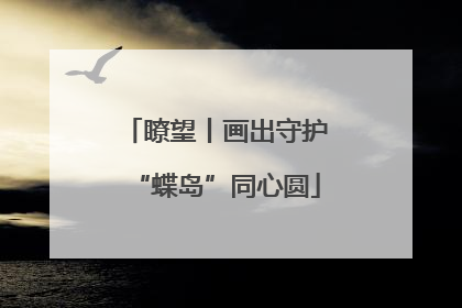 瞭望丨画出守护“蝶岛”同心圆