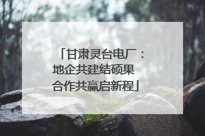 甘肃灵台电厂：地企共建结硕果 合作共赢启新程