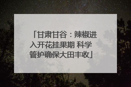 甘肃甘谷：辣椒进入开花挂果期 科学管护确保大田丰收