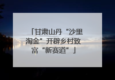 甘肃山丹“沙里淘金”开辟乡村致富“新赛道”